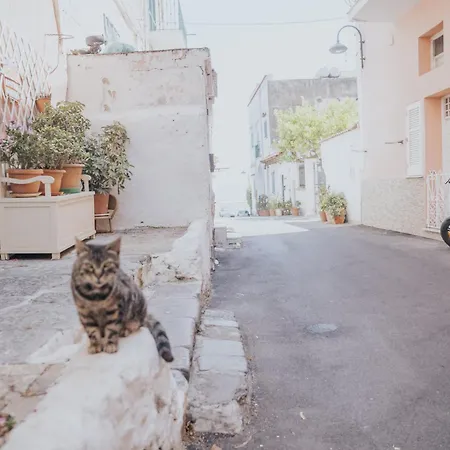 Aragonia * ايسكيا